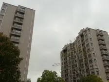 唐镇·齐友佳苑·1室·1厅