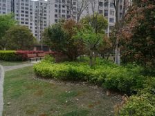 唐镇·齐友佳苑·2室·1厅