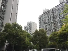 中间楼层 电梯房 新上房源