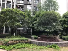 宗申青年国际 2室1厅 东南 西北 东