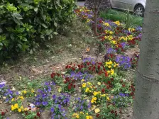 江湾·逸仙小区·2室·0厅