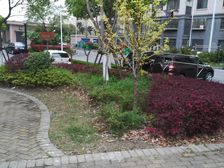 电梯房,大开间,品质小区,精装修,装修齐全