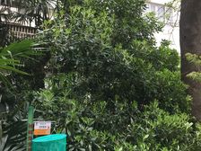 开放式厨房,大开间,品质小区,近地铁