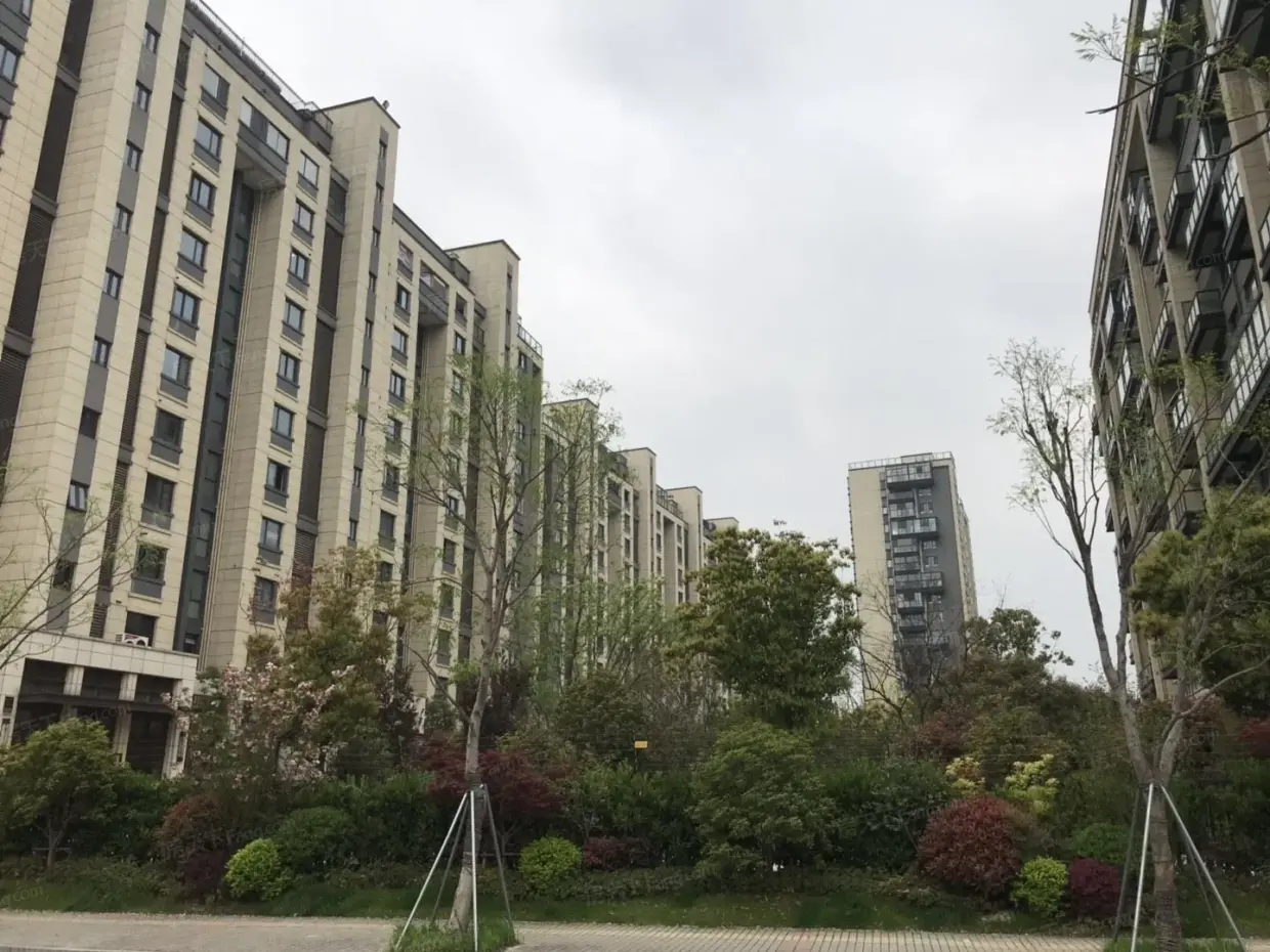 龙湖狮山原著