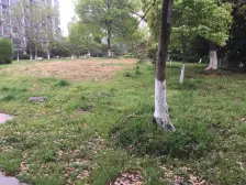 无抵押 1梯2户 电梯房 新上房源