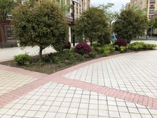 金桥·金葵佳苑·2室·2厅