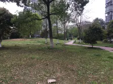 中间楼层 电梯房 新上房源