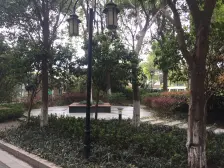 品质物业 精装,中心位置,产权清晰 热销好房