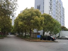 临港宝龙旁,双南朝向,采光好,满五,诚售可谈