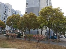 满五税费少,小户型,采光充足 配套设施齐全 交通便利