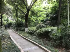 高新区 南方新城鑫苑三房112万