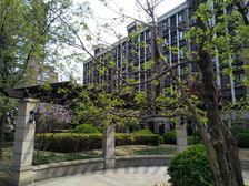 金地朗悦沁园边户便于装修满五唯一一层下跃