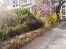 东特金星公馆精装一室精装修 楼下车站商场