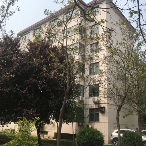 河南农业大学第三生活区 3室 1厅 97.91平米