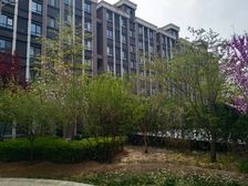 【店长推荐】金朗悦花园洋房买一层得两层下跃户型满2年