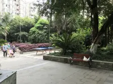 新上房源 南方新城鑫苑 精装三房 小高层环境优美