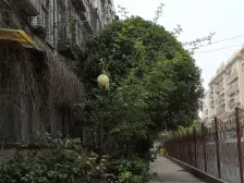 万福花园 3室2厅 南