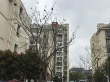 上师大 电梯中间楼层 南北通二房 前后无遮挡