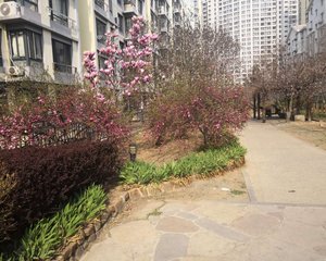 东特爱丽舍中间楼层位置好视野拎包住下楼车站商场