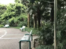 小高层 电梯三房双卫 精装修 节约装修费 拎包入住