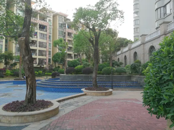 盈彩美地
