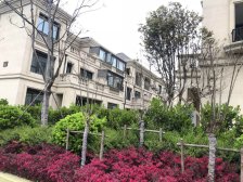 萃雅苑 5室2厅 南