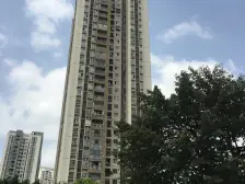 国盛龙腾丰文A区 3室2厅 南