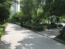 此房满5年,精装,中间楼层,正规三房