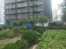 3号线6号线地铁 双气两房 价格可谈 诚心出售