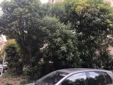 竹南小区1室南朝向340.00万元/套出售