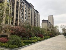 毛坯采光不挡交通便利业主诚心出售看房随时有钥匙