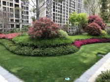 太湖新城(吴江)·湾上风华·6室·2厅