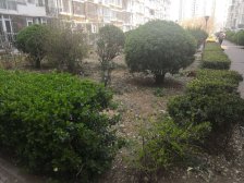 周二汇文电梯房精装修近车站市场购物广场