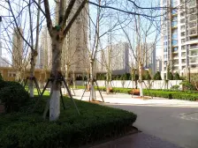 位置好,南面海,主干道,出行方便,客流量大