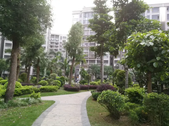 盈彩美地