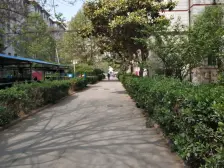 宏莲花园低楼层户型好,业主诚心出售