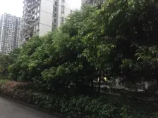 南桥寺 金色年华二房118万