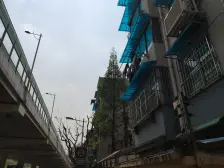 精装修 自住 陪读 客户群体较广 交通便利