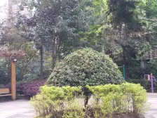 南滨路 清水大四房 看来福士 大剧院无遮挡