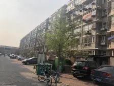 荷花茗苑东院 1室1厅 南 北