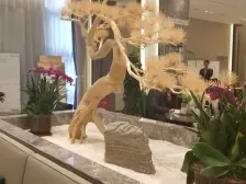 康桥园林居住小区,地铁口旁,小区地理位置好,