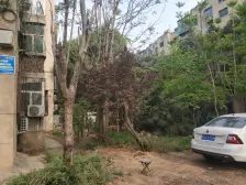 中原制药厂家属院 2室1厅 南 北