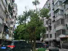 赣江边;楼层好,通透性好,采光充足,有院卫好停车
