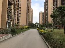 精装三房,中间楼层,视野开阔,采光良好,看房方便