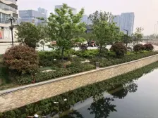 湖景房 70年产权公寓 全屋索菲亚定制