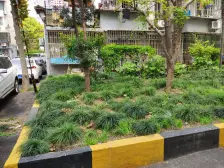 延长小区中区楼层南北通透的1房精装修拎包入住位用