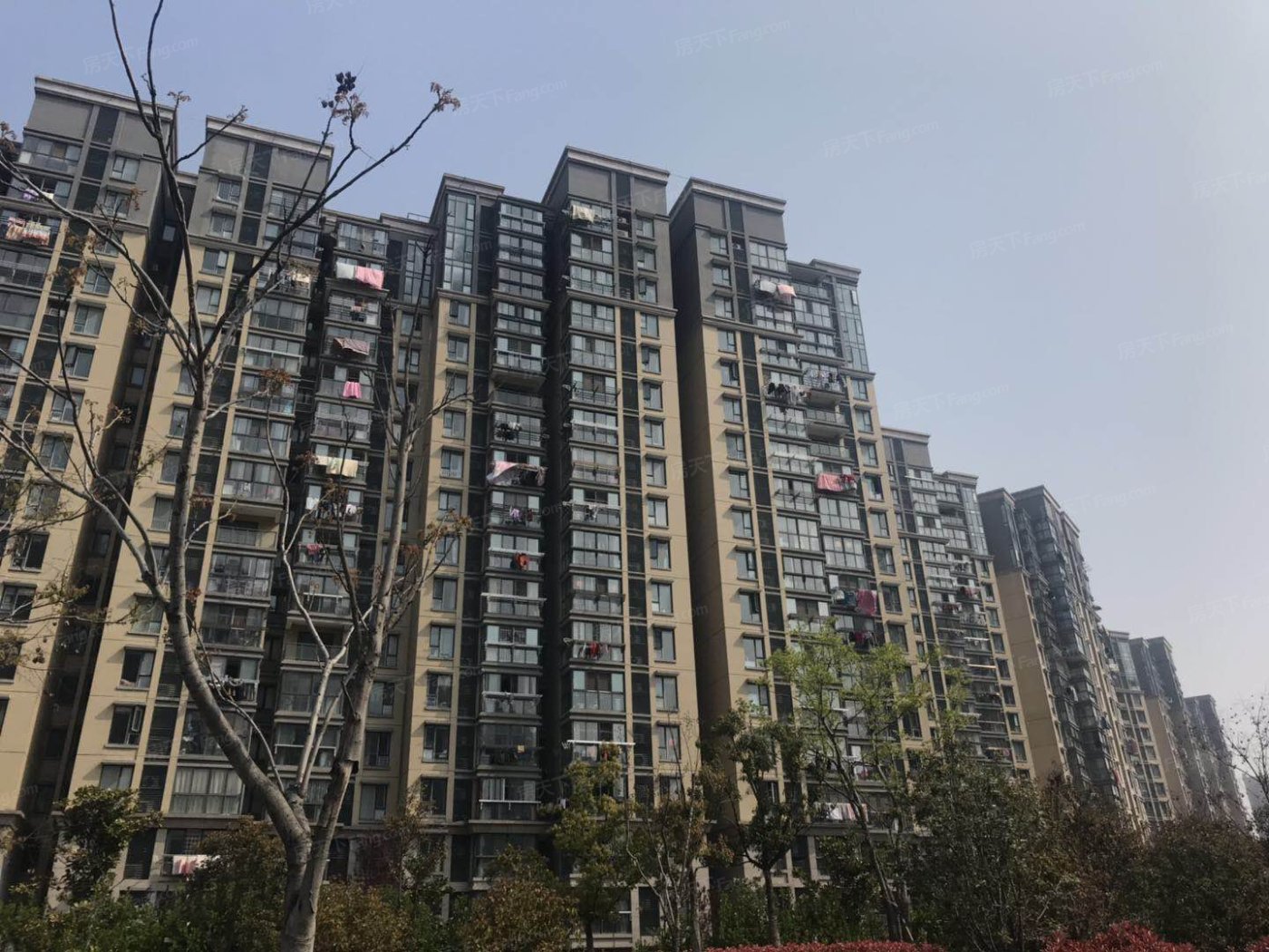 中环紫郡