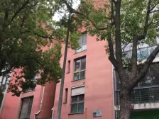 风苑联排别墅,目前就这一套挂牌,看房方便。