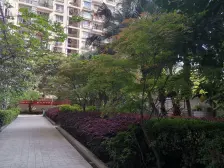 黄泥磅轻轨站旁松龙景苑 顶跃 使用面积800平米左右