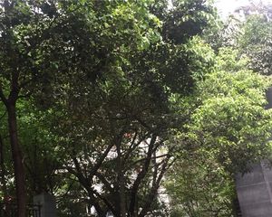 万达商圈+龙湖天街+双轻轨+简单装修+业主急卖